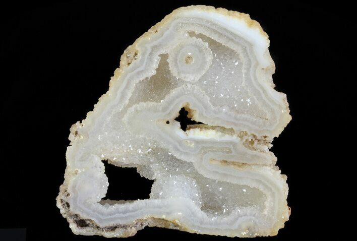 Unique, Druzy Agatized Fossil Coral Geode - Florida #66839